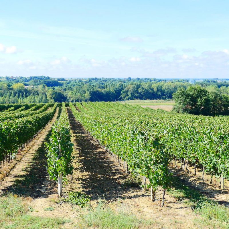 Domaine de l'Herré